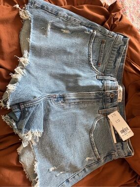 Abercrombie & Fitch Light Blue Distressed Denim Shorts